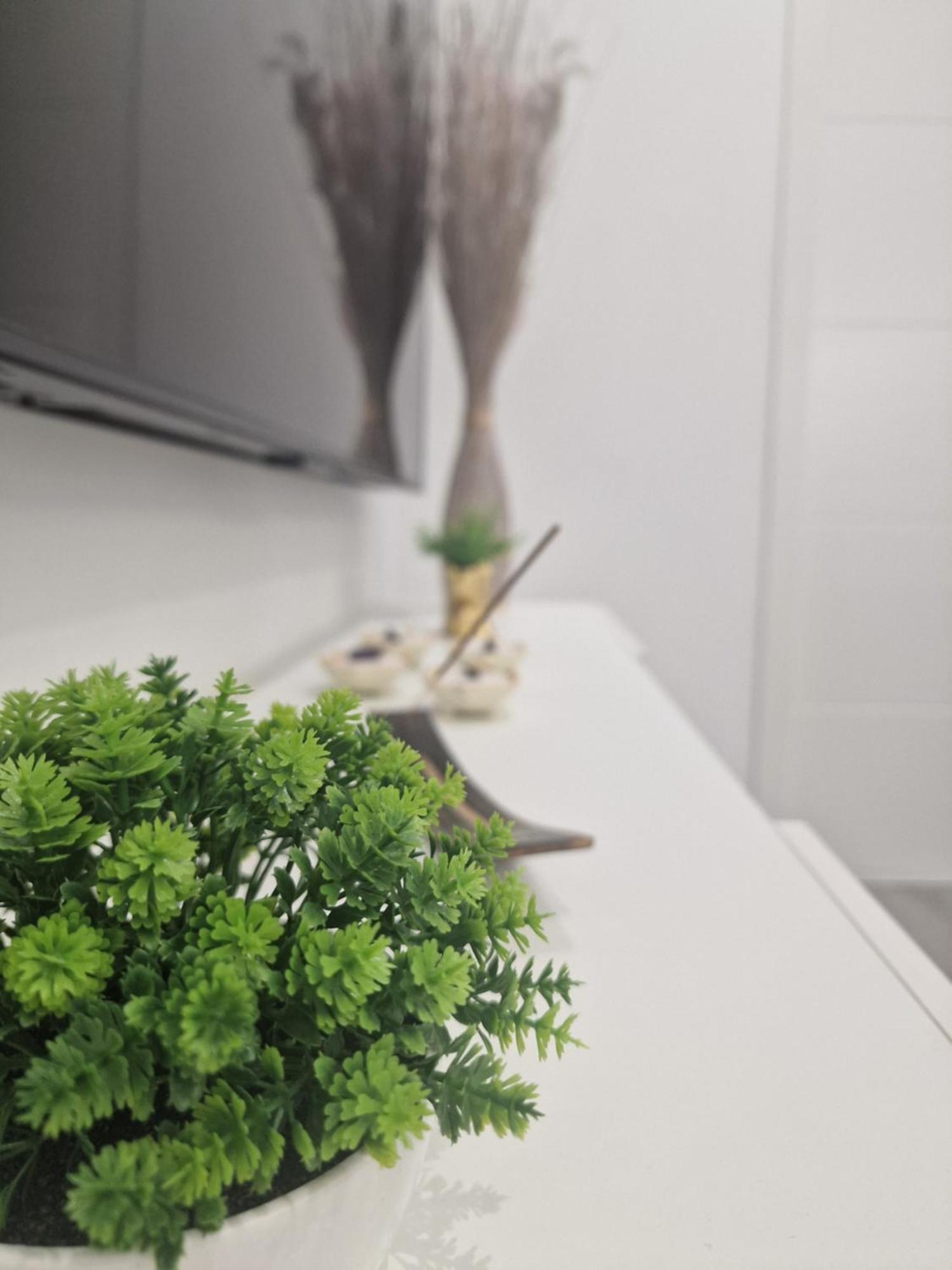 Barcelona, Apartamento De 1 Habitacion Leilighet L'Hospitalet de Llobregat Eksteriør bilde